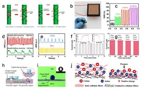 Paper Based Sensors Application Encyclopedia MDPI