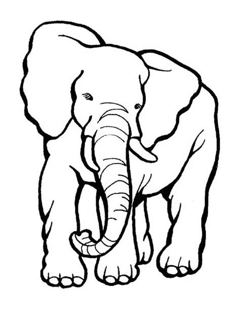 Zoo elephant coloring pages