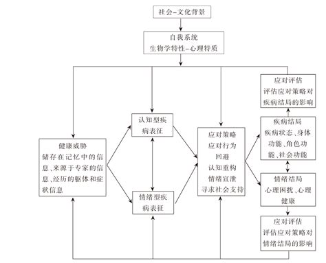 自我调节常识模型在慢性病管理中的研究进展