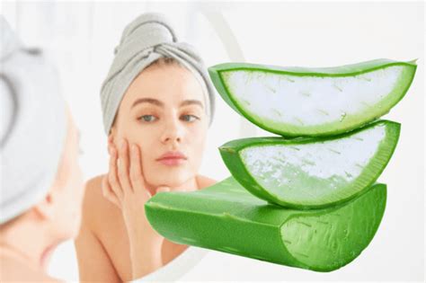 Benefits Of Drinking Aloe Vera Juice For Skin