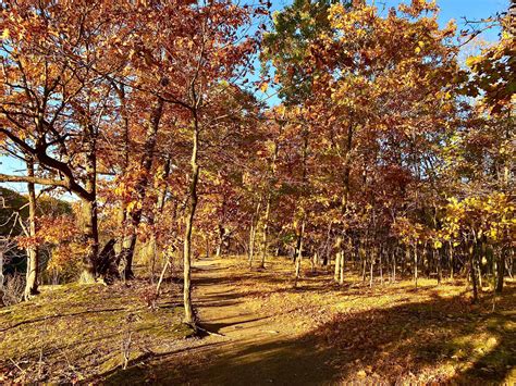 Eighteen Mile Creek Conservation Park Hamburg NY Adventures In New