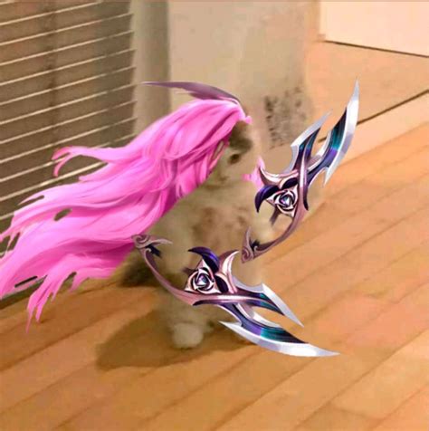 Katarina Reina Guerrera Meme Del Gato Em 2022 Katarina League Of