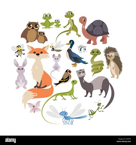 Circle of cute animals. Mammals, amphibians, reptiles, insects and ...