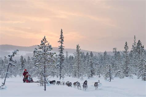 Swedish Lapland – a unique haven for the natural adventurer | Visit Sweden