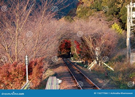 Autumn View of Railroad Tracks at Sagano Scenic Railway. Stock Photo - Image of mountain, hill ...