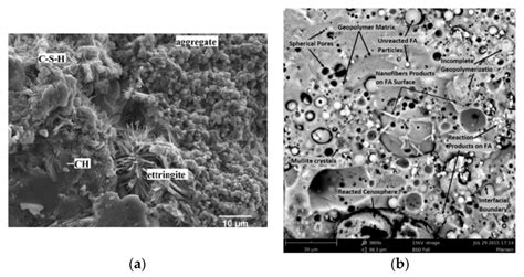 Hardening Mechanism In Pc A And Geopolymer Cement B