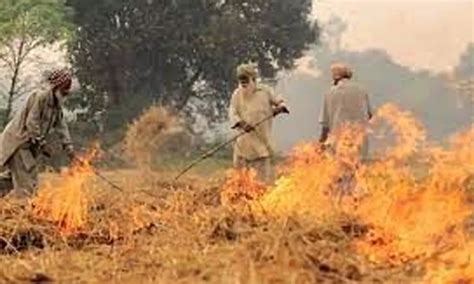 Stubble Burning Incidents In Haryana