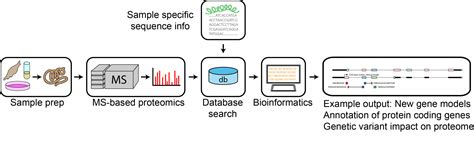 Proteogenomics Scilifelab