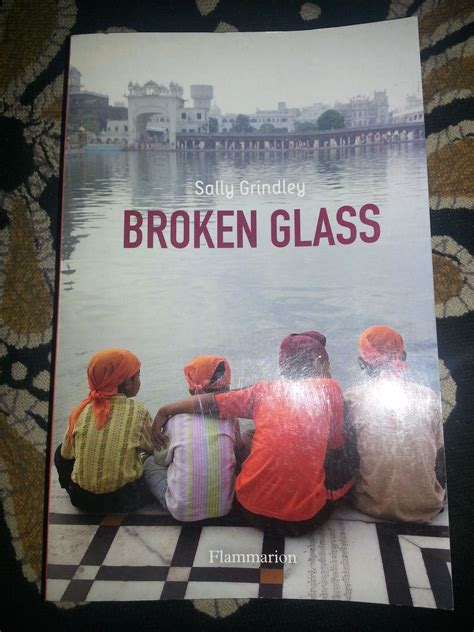 Broken Glass De Sally Grindley Retrouver Le Site Sur Inde En Livresfr