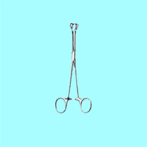 Bright Annealed Stainless Steel Babcock Forceps At Rs Piece In