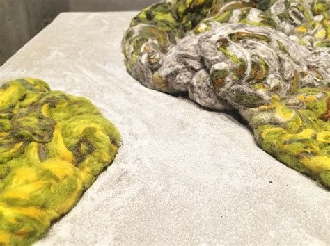 Dana Barnes References Lichen Life For Endolith Casts Seating Series