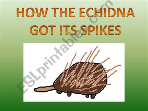 How The Echidna Got Its Spikes Aboriginal Dreamtime Story - Story Guest