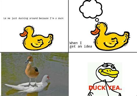 Duck Yeah Meme Subido Por BubbleButt Memedroid 14214 Hot Sex Picture