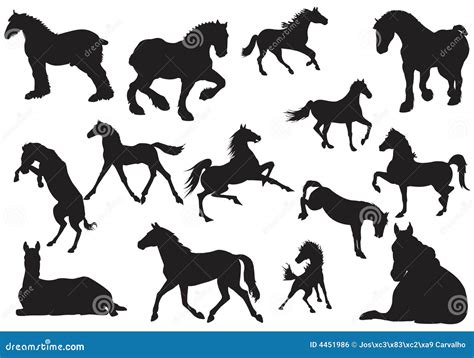 Silhouet Van Paard Vector Illustratie Illustration Of Hobby 4451986