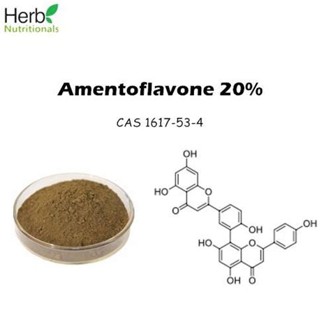 Selaginella Tamariscina Extract Amentoflavone 1617 53 4 Herb