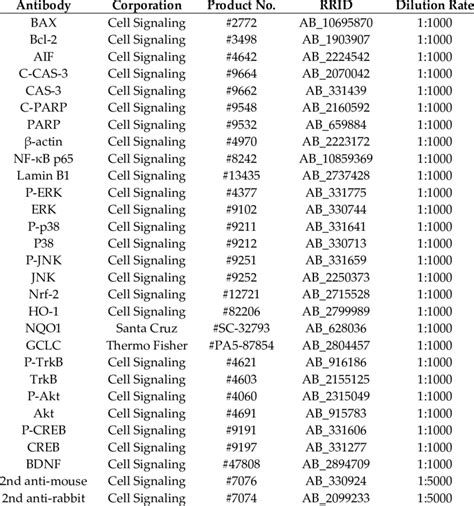 Primary and secondary antibodies use for Western blot analysis. | Download Scientific Diagram