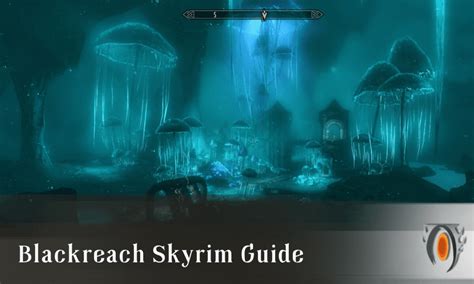 Blackreach Skyrim Guide Scrolls Guided