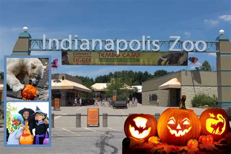 Indianapolis Zoo Boo 2024 Calendar - Bunnie Lucienne