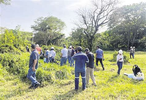 Informe Confirma Denuncias Sobre Presencia De Bacterias Fecales Que