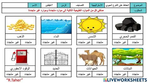 ورقة عمل انواع الموارد الطبيعية worksheet in 2024 School subjects