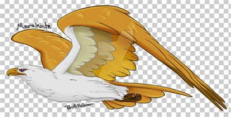 Marahute Fan Art Drawing Eagle PNG, Clipart, Animals, Art, Beak, Bird ...