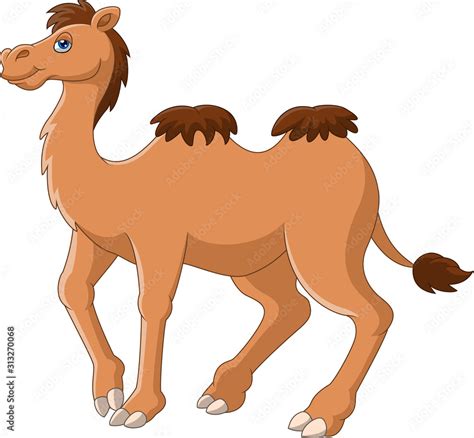 Cartoon Funny Camel Smile And Standing Stock Vector Adobe Stock