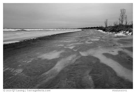 Black And White Picturephoto Sandy Beach In Winter Indiana Dunes