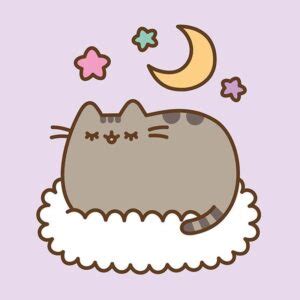 Pusheen Kot Pi Obraz Obrazek Na Cian Nadruk Swawolnik Pl