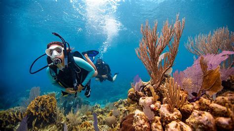 Acapulco destino excepcional para la práctica del buceo Las mejores