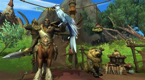 Get A Pet Fighting Companion In Dragonflight World Of Warcraft