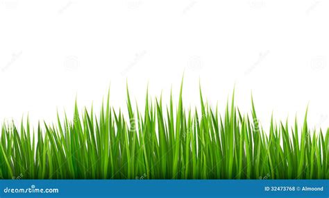 Nature Background With Green Grass Stock Vector Illustration Of Frame Natural 32473768