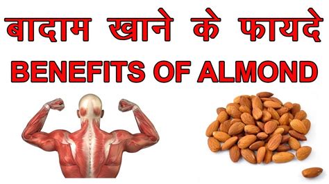 बदम खन क फयद BENEFITS OF ALMOND badam khane ke fayde YouTube