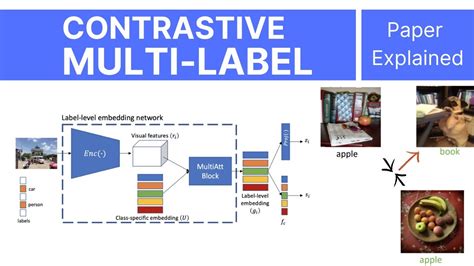 Mulcon Contrastive Loss For Multi Label Images Paper Explained Youtube