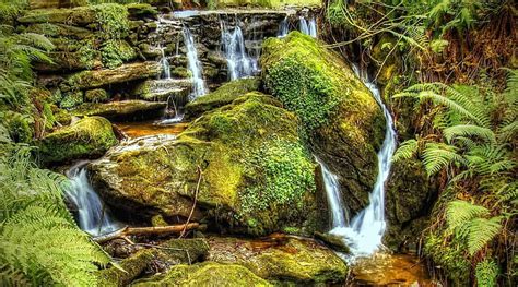 Cascadas Rocosas Cubiertas De Musgo R Rocas Helechos Musgo R