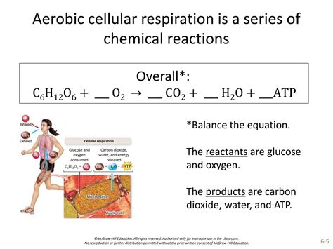 What Are The Reactants And Products Of Cellular Respiration 6