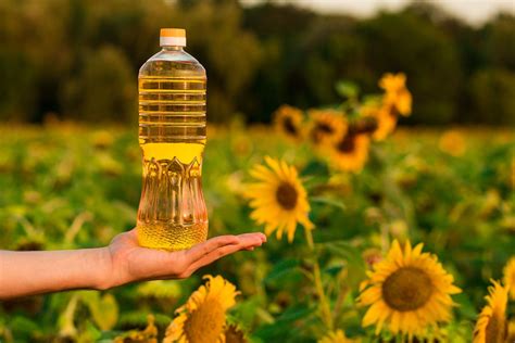 Total 96 Imagen Diferencia Entre Aceite De Oliva Y Aceite De Girasol