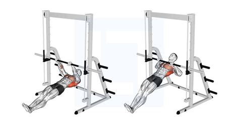 Inverted Row Inverted Row Traps Workout Back Exercises