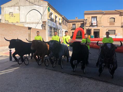 Encierros Infantiles Con Toros A Tama O Real