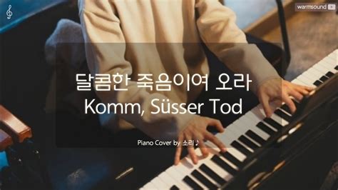 달콤한 죽음이여 오라 Komm Süsser Tod The End of Evangelion OST Piano Cover