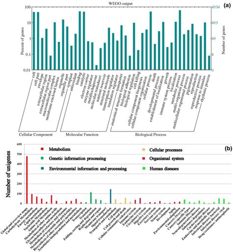 Functional Classification Of DEGs A Gene Ontology GO Classification