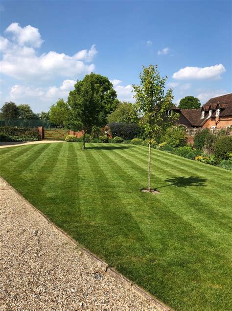 Lawnscience Basingstoke Lawn Care Lawn Services And Free Tips