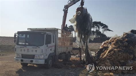 서울 공사현장서 60대 근로자 산재 사망중대재해법 조사 나무뉴스