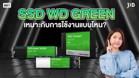 SSD WD Green เหมาะกบการใชงานแบบไหน JIB Review EP 223 YouTube