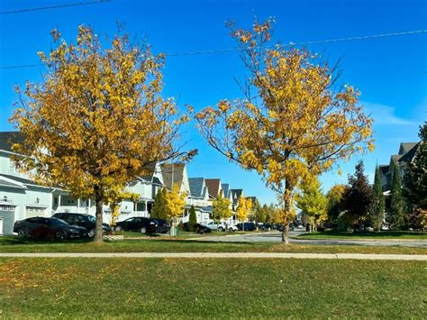 governments      housing costs