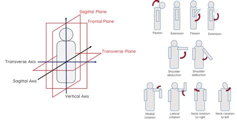 Lateral Vs Transverse Direction