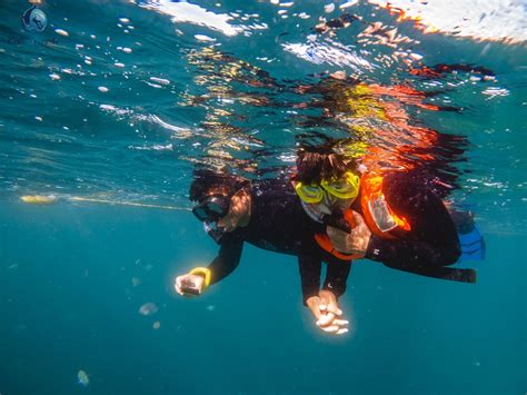 Cabo San Lucas Snorkeling - Cabo Trek