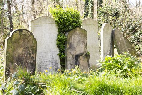 Tower Hamlets Cemetery Park In London Uk Editorial Photo Image Of