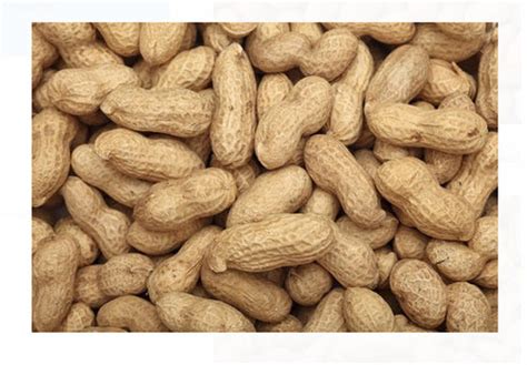 1 Kilogram Pure And Natural Food Grade Promote Health Dried Groundnut