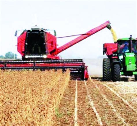 Anapo pide liberar exportación de soya el Gobierno evalúa Anapo