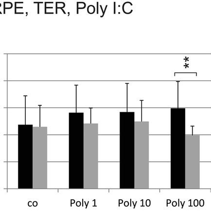 Transepithelial Electric Resistance Ter Of Primary Rpe Cells After